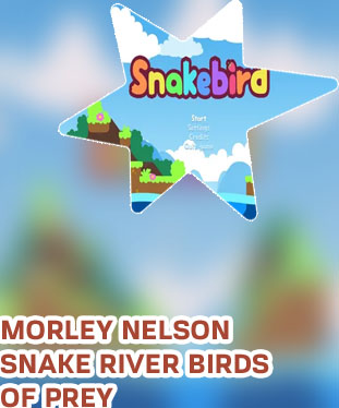 Snake bird game